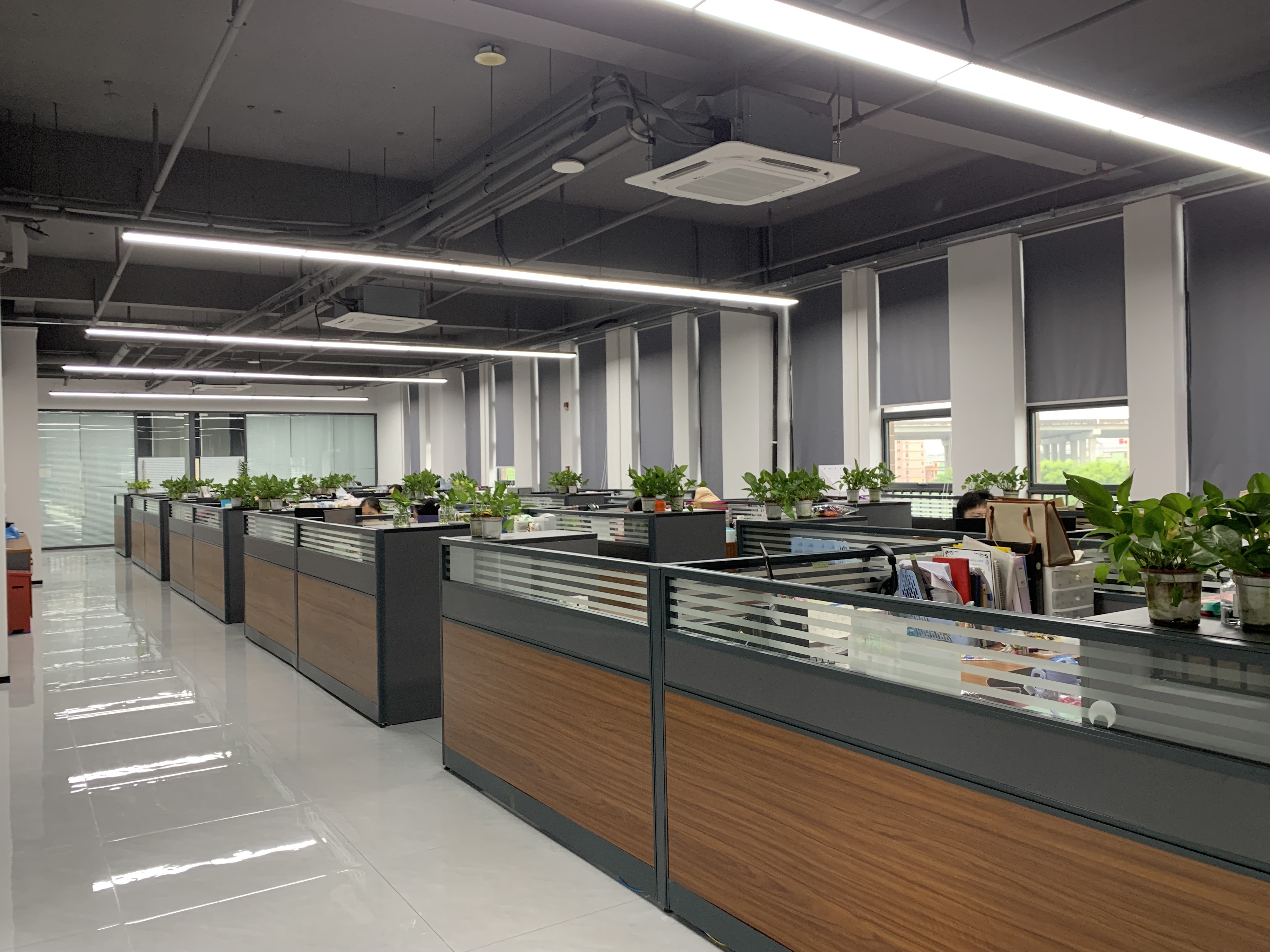 China RICHSTAR (SHENZHEN) LIMITED Bedrijfsprofiel
